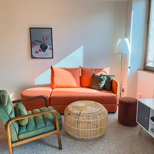  Appartement Duplex Lumineux 2 Centre Zone Piétonne, Parking Gratuit 4 Minutes De Marche